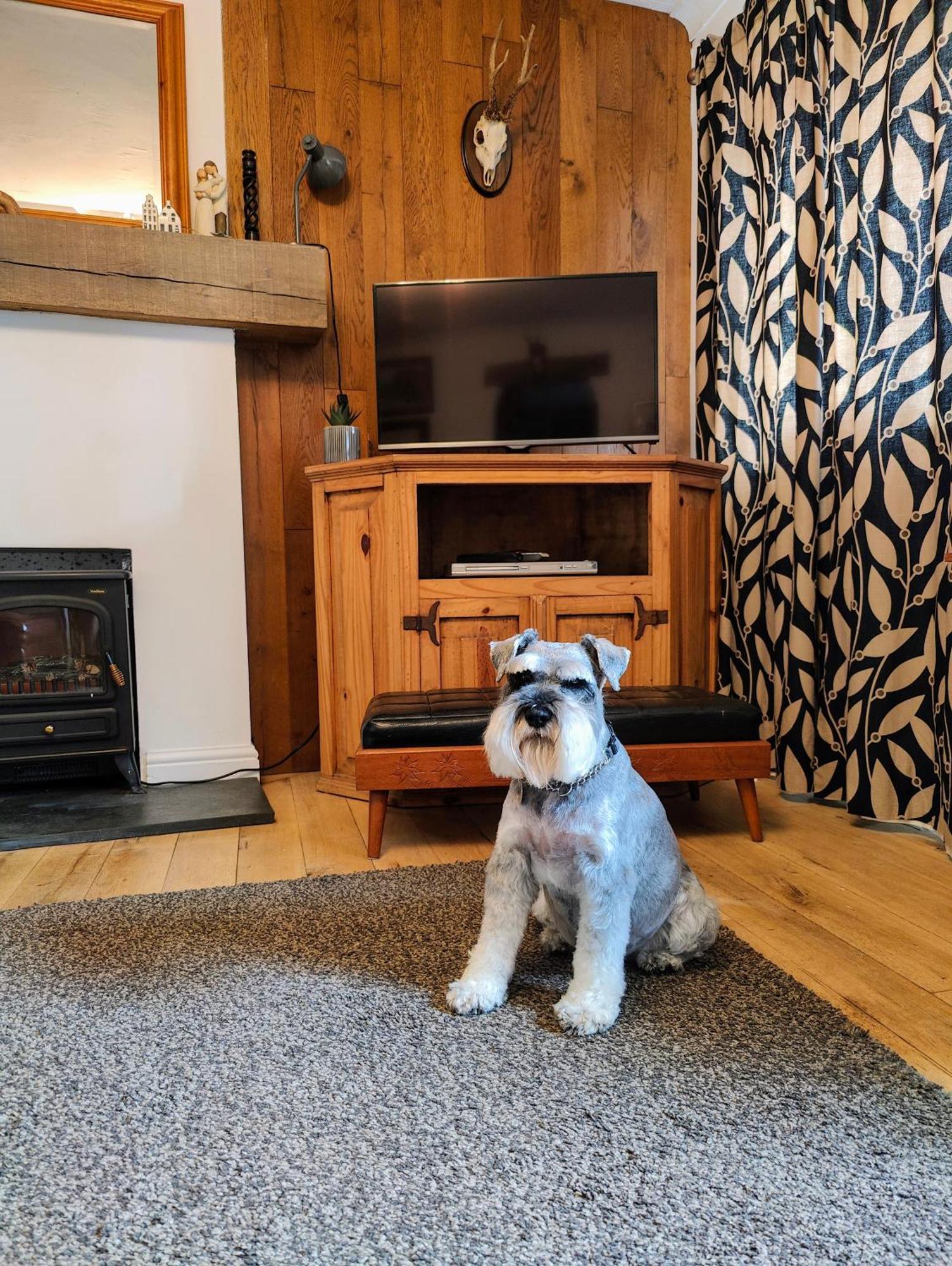 Pitcaithly Cottage Abernethy Esterno foto