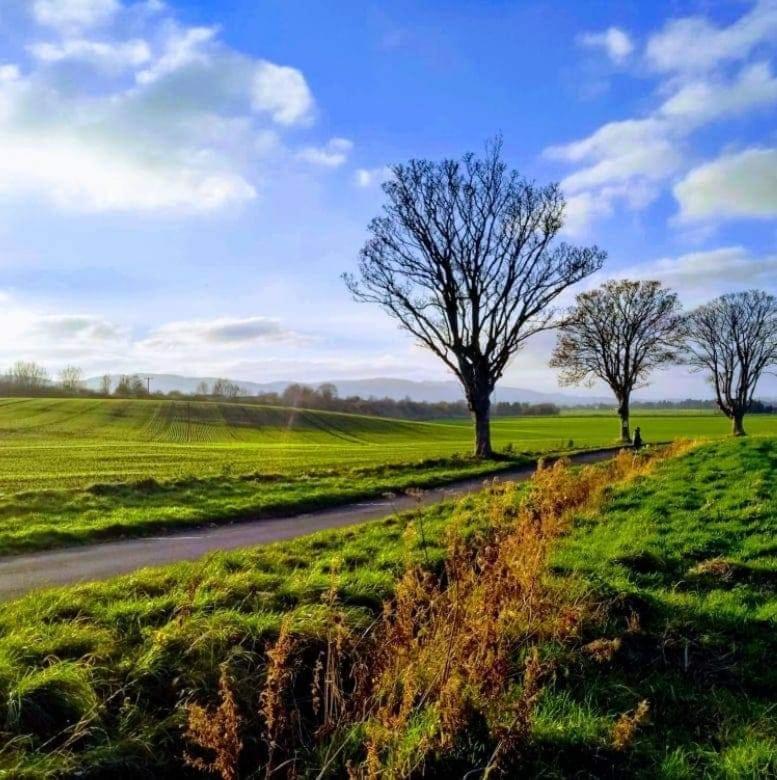 Pitcaithly Cottage Abernethy Esterno foto