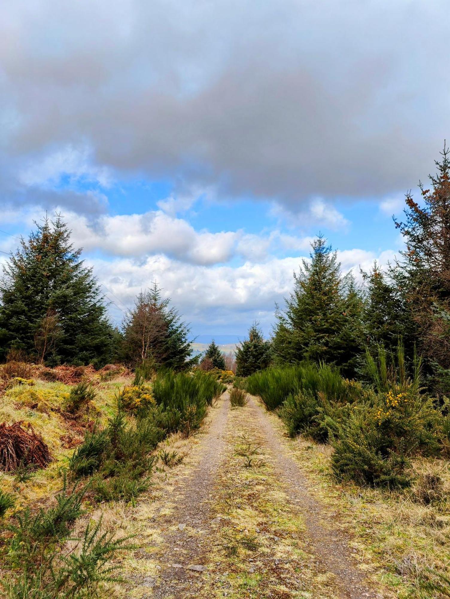 Pitcaithly Cottage Abernethy Esterno foto