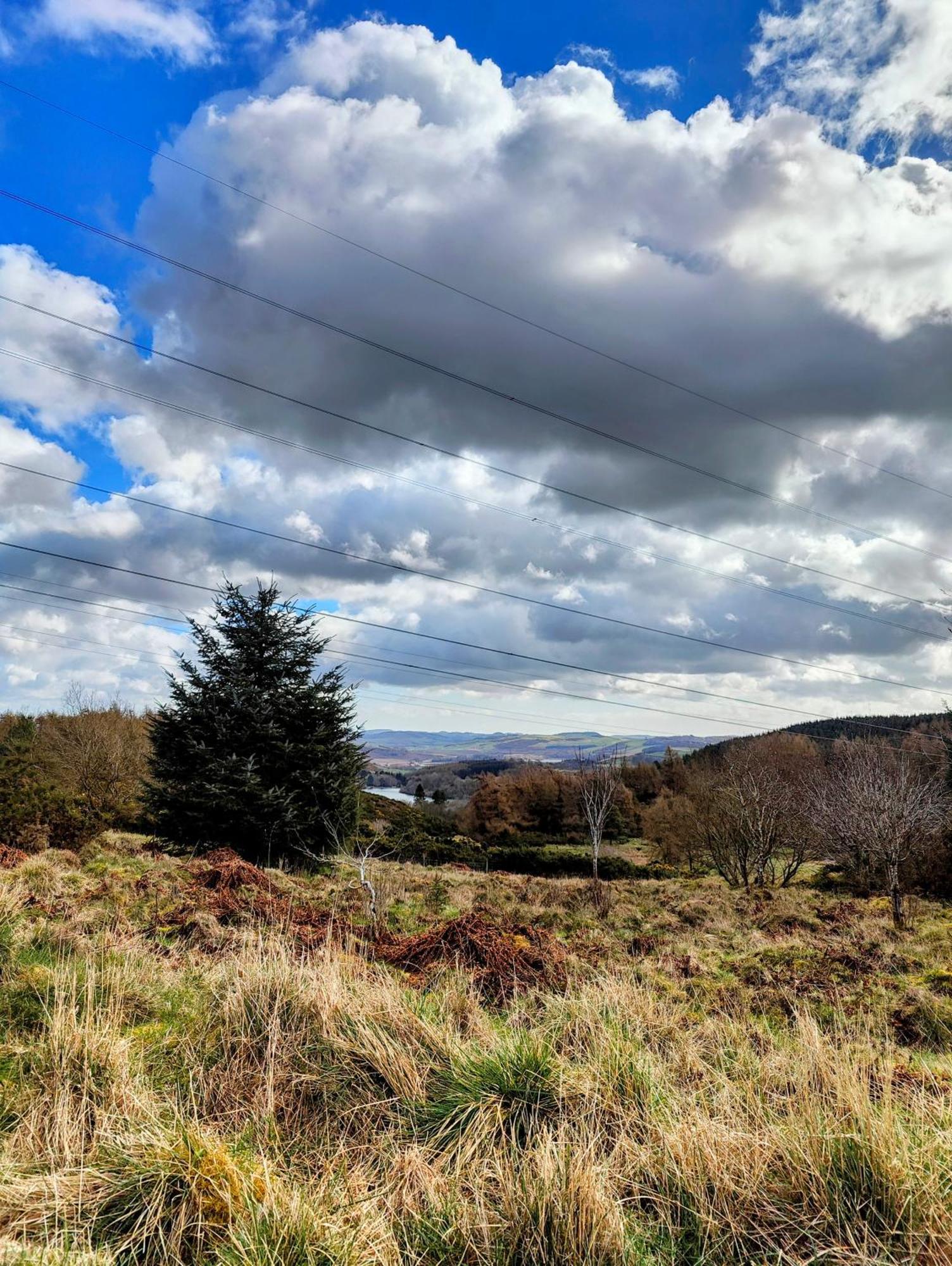 Pitcaithly Cottage Abernethy Esterno foto