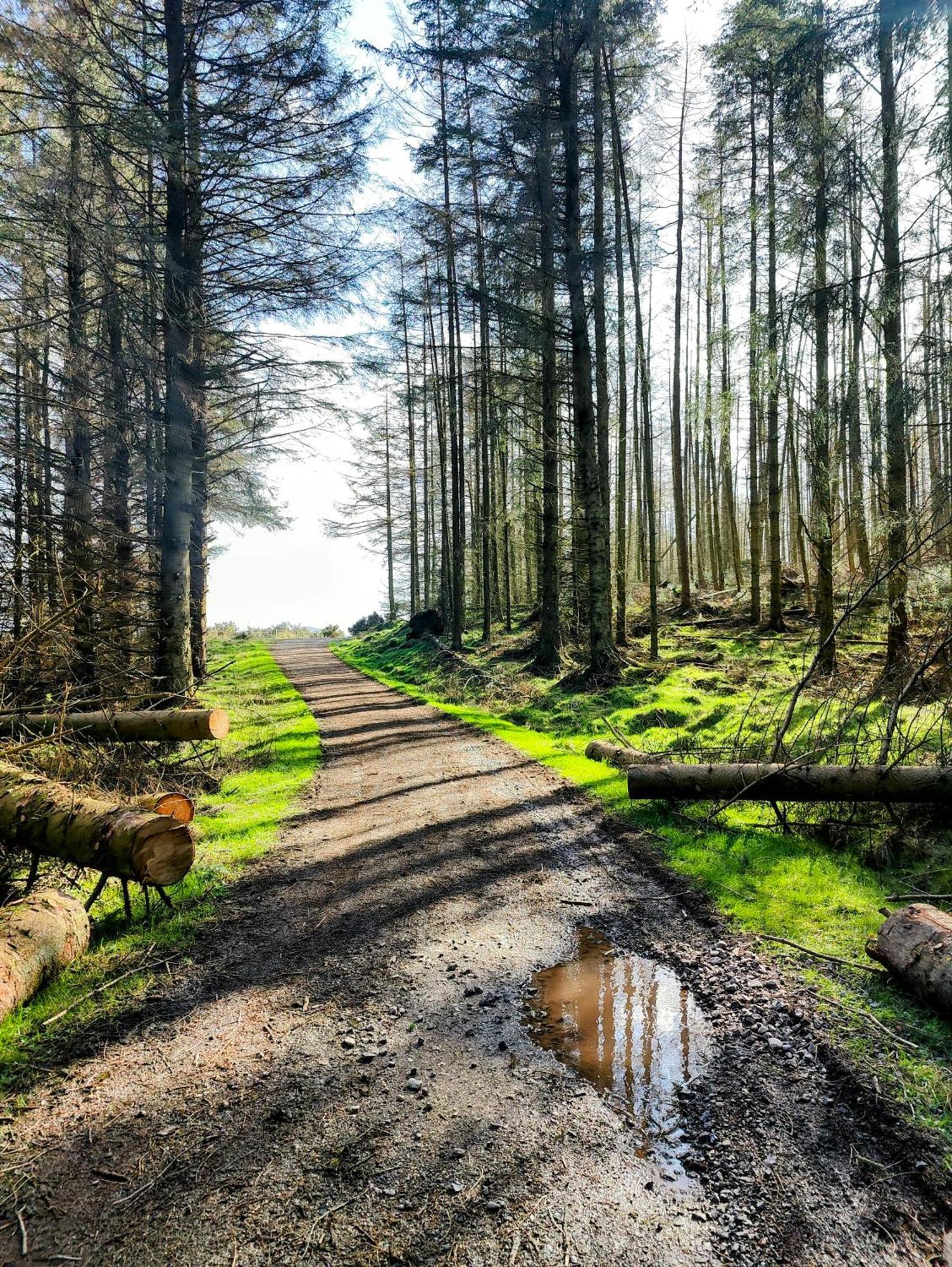 Pitcaithly Cottage Abernethy Esterno foto